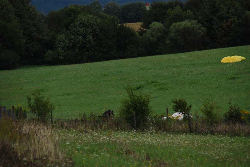 152_DSC_7358